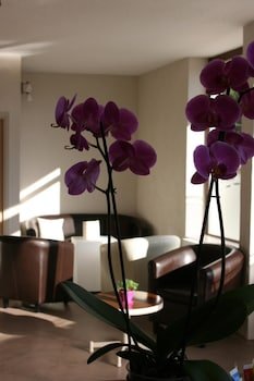 hotel bel horizon