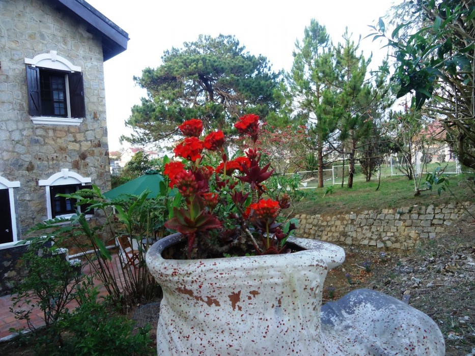 dalat train village