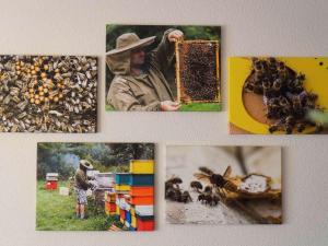 novotel suites wien city donau