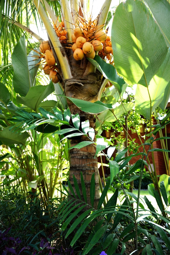 louto dmell guesthouse and villa