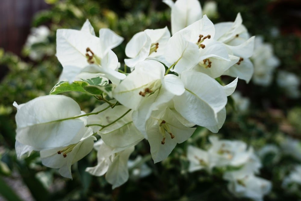 louto dmell guesthouse and villa