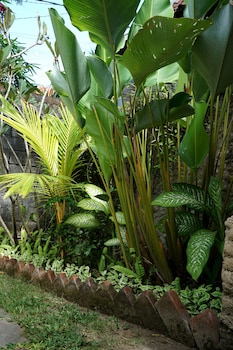 louto dmell guesthouse and villa