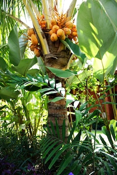 louto dmell guesthouse and villa