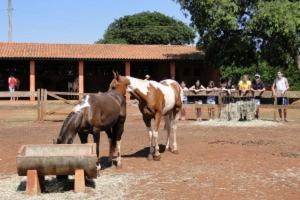 hotel berro dagua eco resort