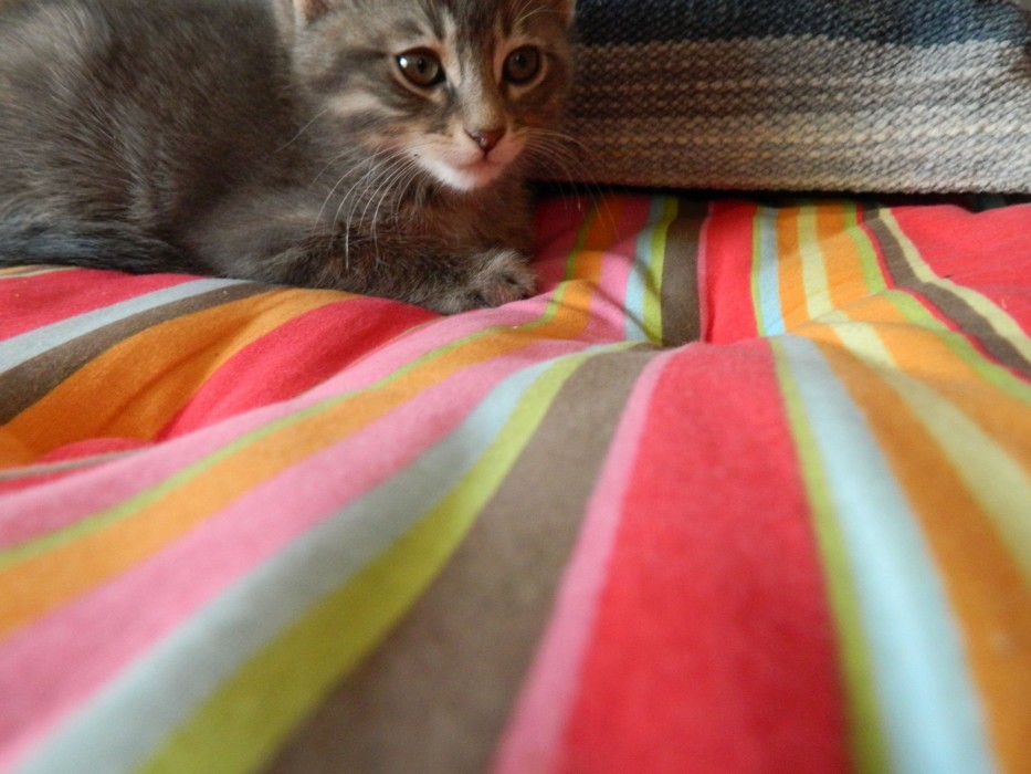 milos