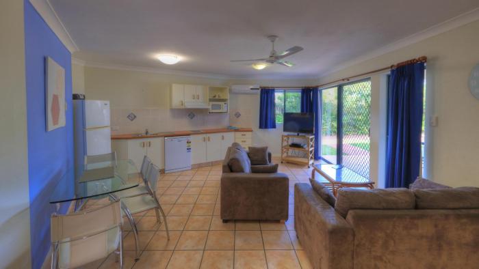 dolphin waters tin can bay