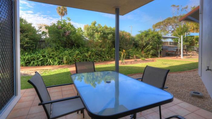 dolphin waters tin can bay