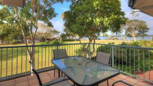 dolphin waters tin can bay