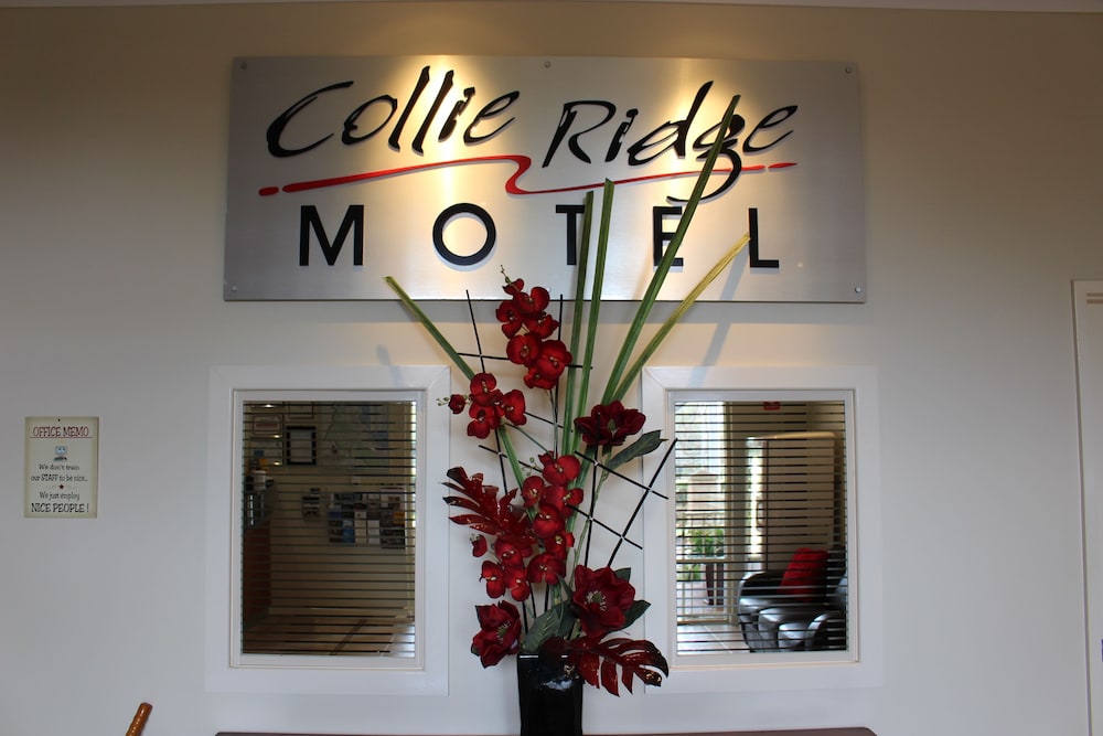 collie ridge resort