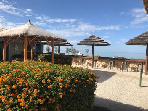 shark bay seafront apartments