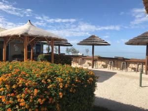 shark bay seafront apartments