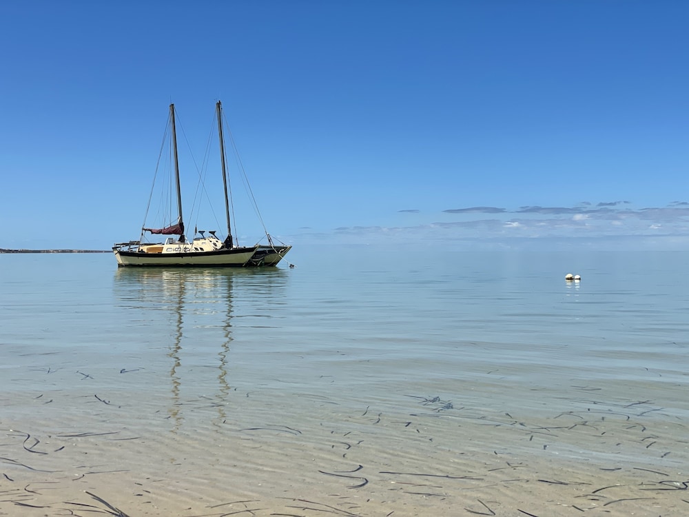 shark bay seafront apartments