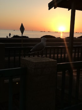 shark bay seafront apartments