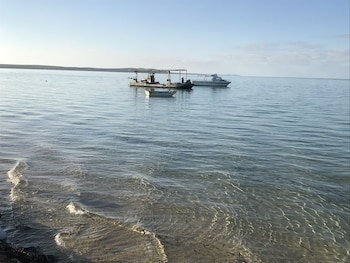 shark bay seafront apartments
