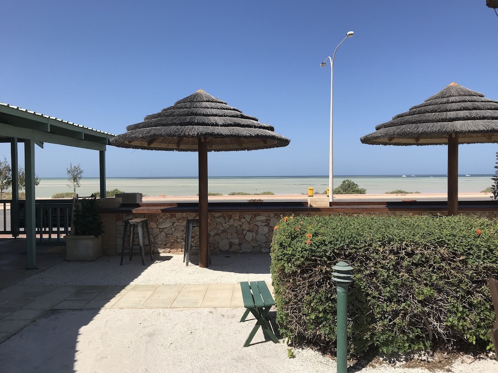 shark bay seafront apartments