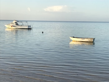 shark bay seafront apartments