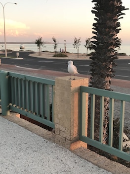 shark bay seafront apartments