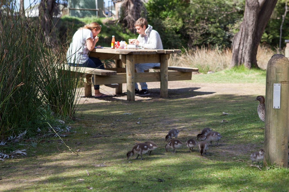 lorne foreshore caravan park