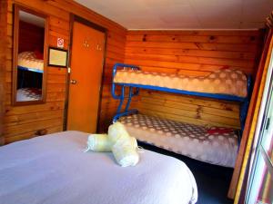hanmer backpackers