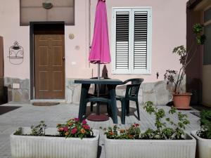 butterfly accommodation