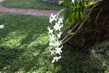 villa shade