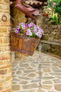 country house villa nigro adults only
