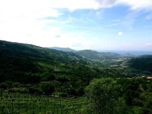 country house villa nigro adults only