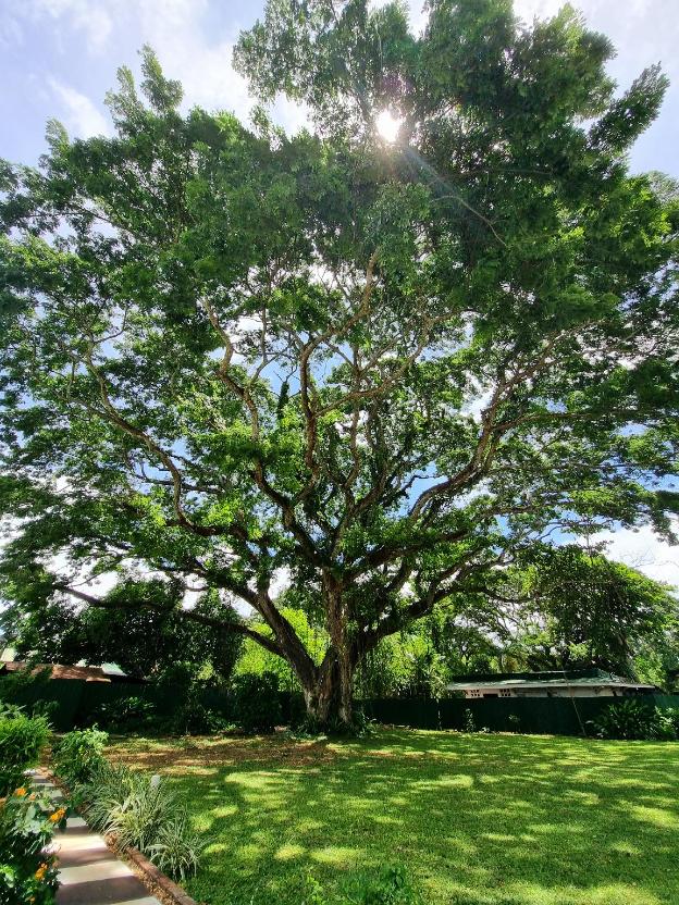 ponce de leon garden resort powered by aston