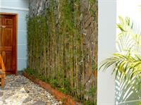 dong xuan hong hotel