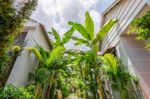 dong xuan hong hotel