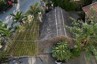 bamboo garden homestay