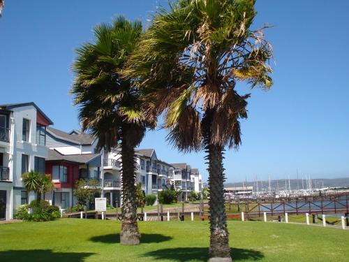 laguna grove
