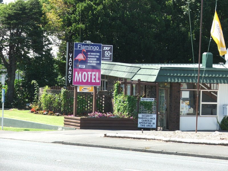 flamingo motel