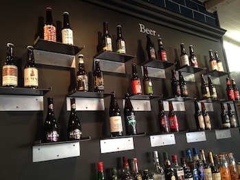 publove exmouth arms euston