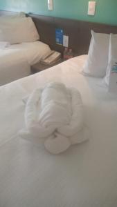 one ciudad de mexico periferico