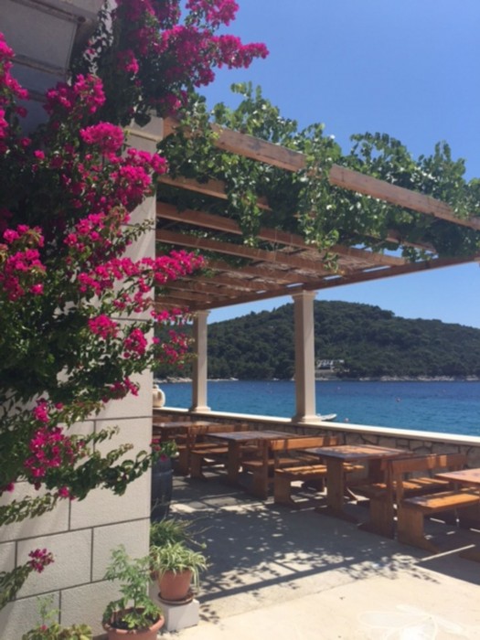 mljet