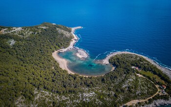 mljet