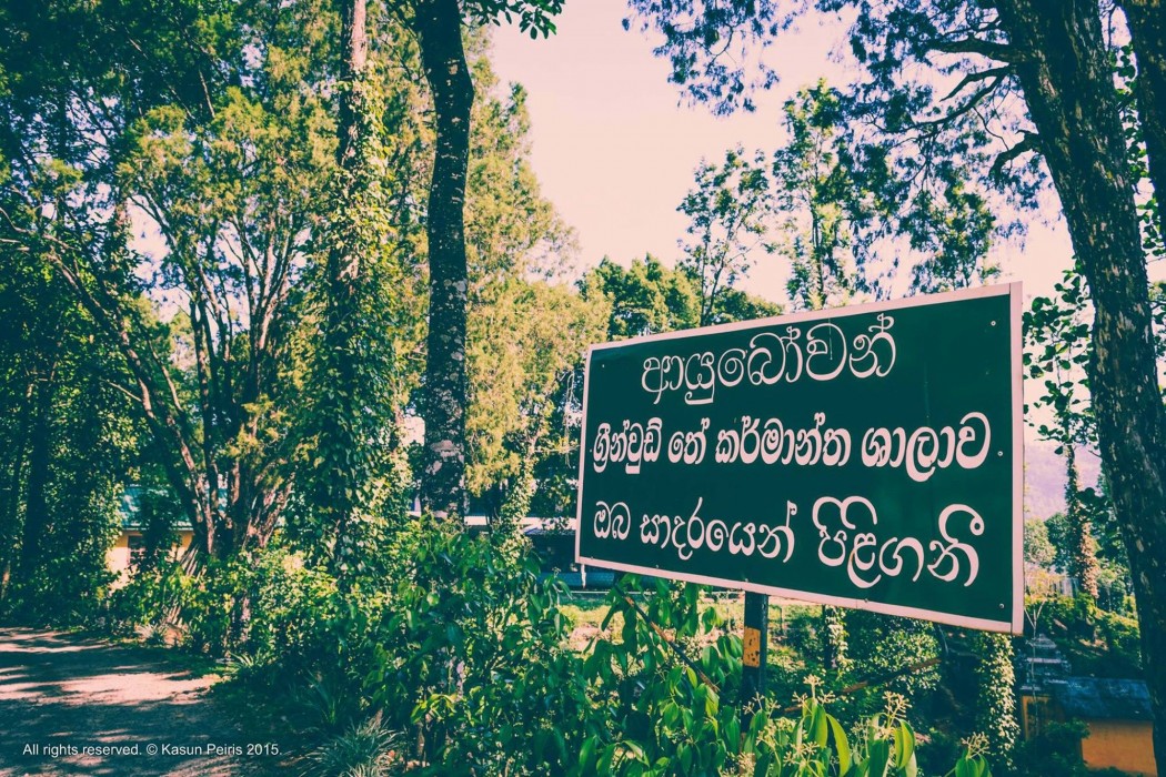 the tea cottage resort and spa