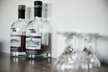 Hotel Skjern,Ringkobing>>Midtjylland,3 star