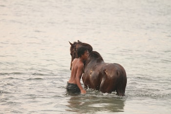 mala garden resort and spa