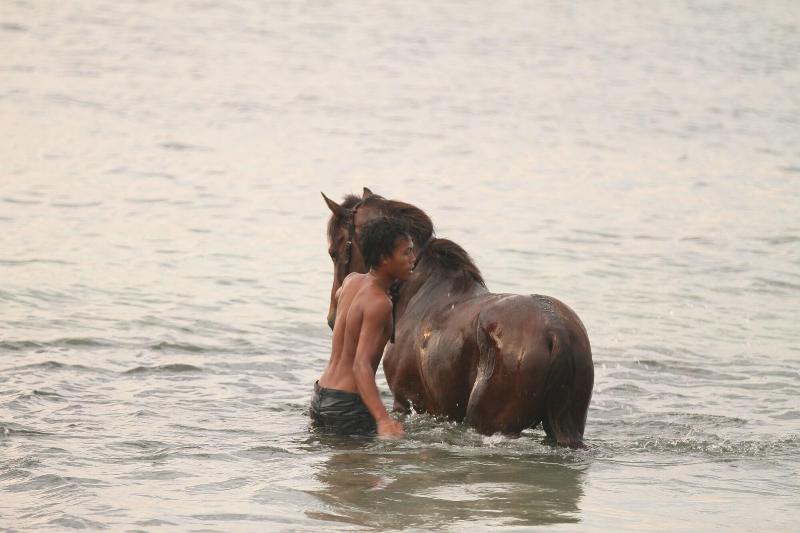 gili trawangan