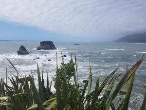 noahs ark backpackers