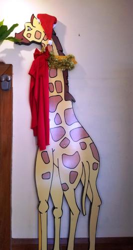 noahs ark backpackers