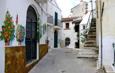 bandb la maison del borgo