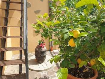 bandb il mandorlo