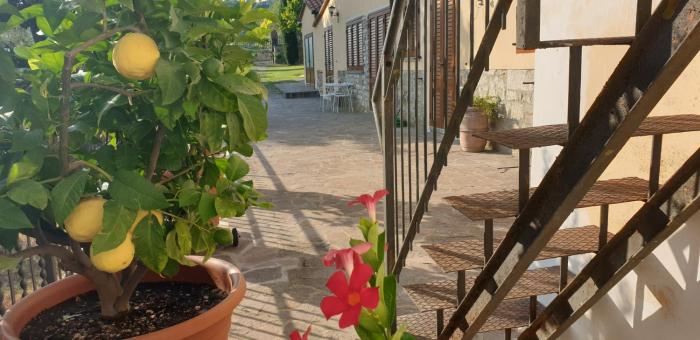 bandb il mandorlo