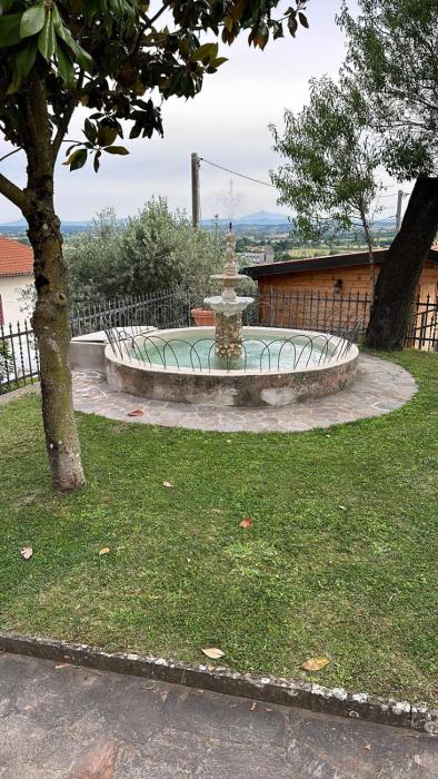 cortona