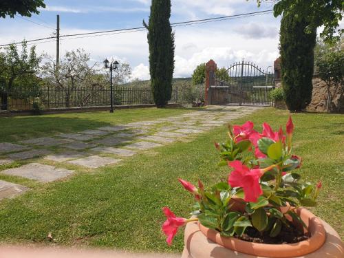 bandb il mandorlo