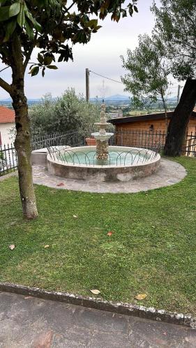 cortona
