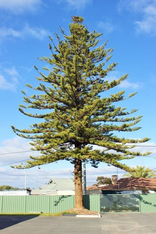 Leeton Centre Motel,Narrandera>>Leeton,3 star